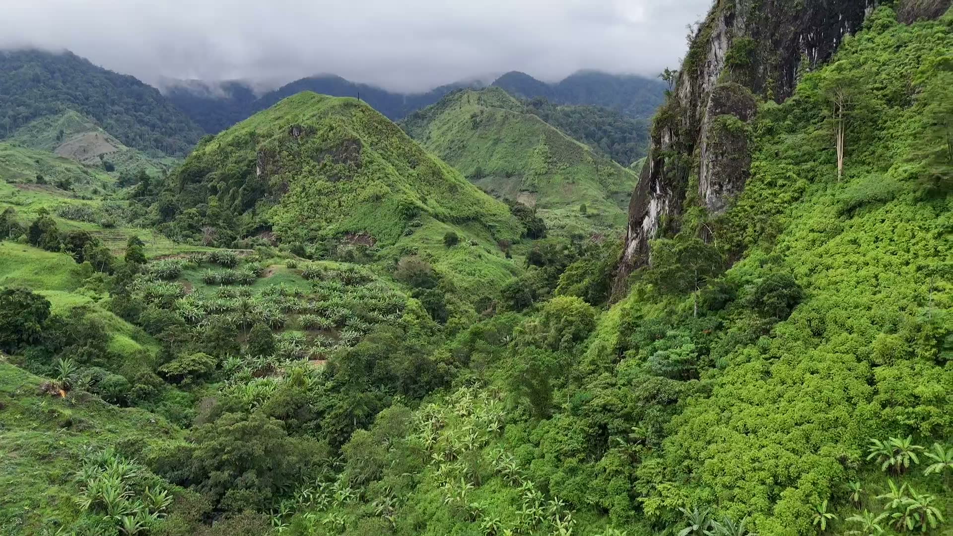 Terraced slopes and a limestone spire in the Bukidnon highlands, Mindanao.